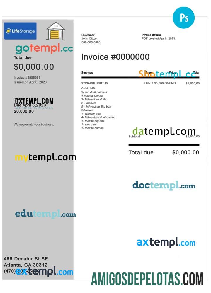 Fatura de armazenamento de vida amostra